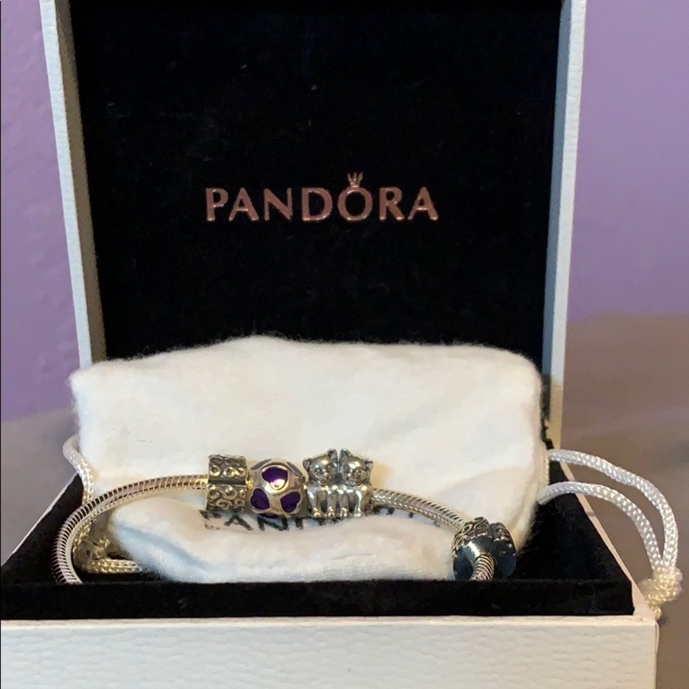 Pandora bracelet
